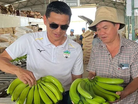 HAGL tổ chức họp ĐHĐCĐ sớm hơn dự kiến