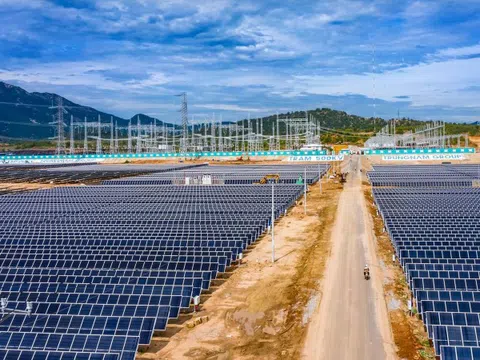 'Ông trùm' năng lượng tái tạo Trung Nam Group hồi phục mạnh trong 6T2024, nợ ngân hàng và trái phiếu gần 44.000 tỷ đồng