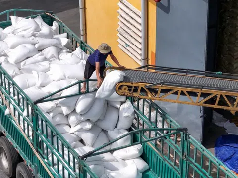 Doanh nghiệp ngành gạo ngụp lặn trong thua lỗ quý I/2025