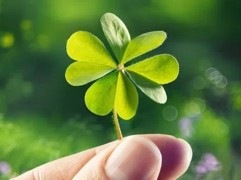 Ngành “biến người thường thành tỷ phú” ở 21 tỉnh phía Nam: Hàng triệu người tham gia chi ra số tiền hơn 140.000 tỷ, nhận về 68.000 tỷ, không ít người đổi đời