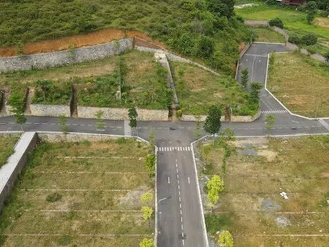 Đất huyện ngoại thành Hà Nội đấu giá cao nhất gần 181 triệu đồng/m2