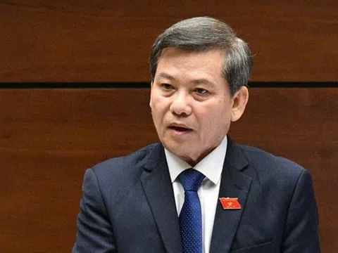 Dân kiện nhưng chủ tịch UBND không dự phiên tòa: ‘Về mặt Đảng, có kỷ luật được không?’