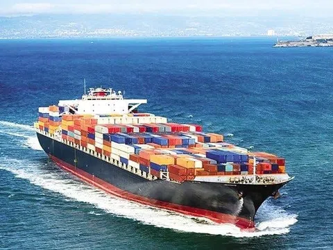 Một cổ phiếu vận tải biển bật tăng trần dù vừa bị HoSE “tuýt còi”