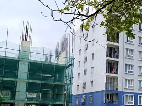 Đà Nẵng mở bán hàng trăm căn hộ giá từ 800 triệu đồng