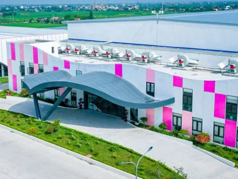 FPTS đăng ký bán ra cổ phiếu MSH trước khi May Sông Hồng phát hành cổ phiếu thưởng