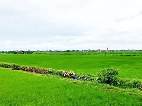 Người dân lưu ý một số điều kiện quan trọng sau đây khi muốn chuyển nhượng đất đai trong năm 2025