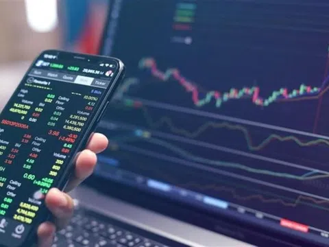 Nghi án chủ một doanh nghiệp lúa gạo bị lừa đảo 420 tỷ đồng vì đầu tư chứng khoán qua mạng