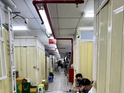 Vòi bạch tuộc vẫn luồn lách
