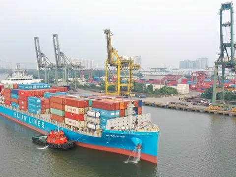 DN sở hữu đội tàu Container lớn nhất Việt Nam muốn chia cổ tức tổng tỷ lệ 40%, cổ phiếu tăng hơn 50% từ đầu năm