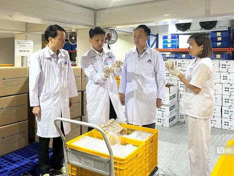 Vắc-xin ASF “made in Vietnam” chính thức xuất khẩu sang Indonesia