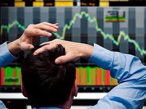 Doanh nghiệp nói gì về cổ phiếu giảm sàn 5 phiên sau tin Chủ tịch và Tổng Giám đốc bị khởi tố?