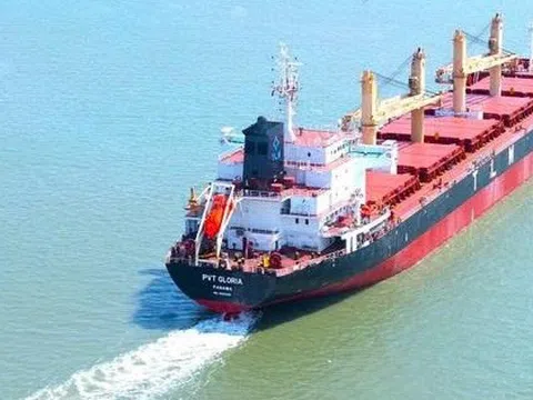 PVTrans chốt ngày đăng ký nhận cổ tức năm 2024 bằng cổ phiếu