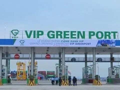 Viconship muốn ‘xả hàng’ hơn 6,3 triệu cổ phiếu Cảng Xanh Vip