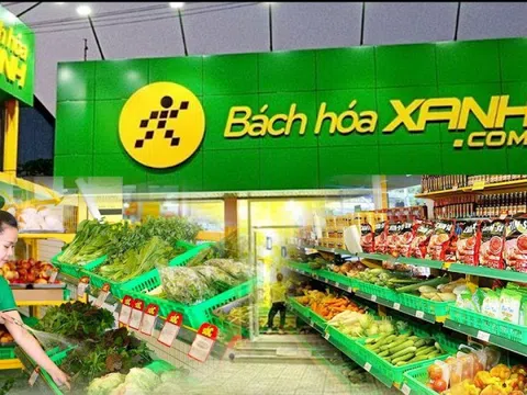 Bách Hóa Xanh mở mới hơn 400 cửa hàng từ đầu năm, quy mô hệ thống lập kỷ lục