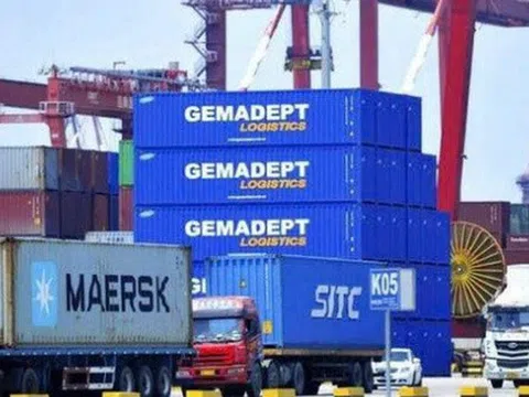 Gemadept chốt ngày chi hơn 840 tỷ đồng trả cổ tức năm 2024