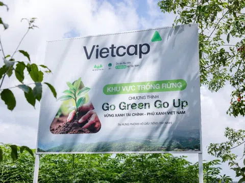 Vietcap trao tặng 6.000 cây tại rừng phòng hộ dầu tiếng