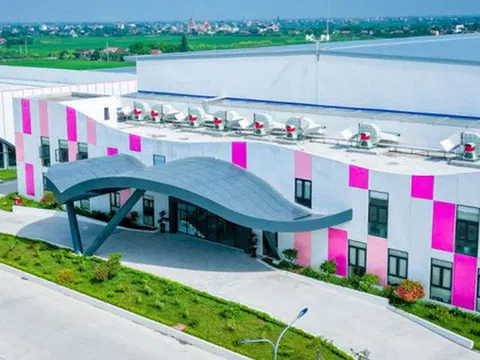 May Sông Hồng bị phạt và truy thu thuế gần 1,7 tỷ đồng