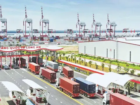 Cảng biển Long An đặt mục tiêu đạt 20 triệu tấn hàng hóa vào năm 2030