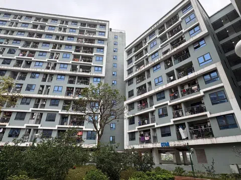 Những điểm nghẽn khiến đề án "1 triệu căn nhà ở xã hội" mới chỉ đạt 8% mục tiêu sau 4 năm thực hiện