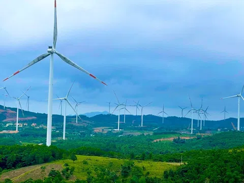 Dự án điện gió có tiềm năng, một doanh nghiệp quân đội đề xuất nâng quy mô lên hơn 310 triệu USD