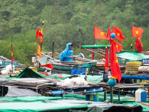 Bão số 3 áp sát: Quảng Ninh di dời gần 10.000 người, đưa 14.000 du khách về bờ
