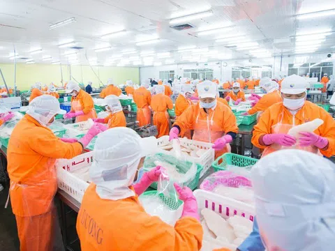 Thủy sản Nam Việt bứt tốc, vượt kế hoạch lợi nhuận sau 6 tháng