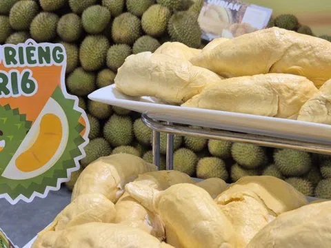 Khởi sắc chưa đầy 1 tháng, giá sầu riêng lại đảo chiều đi xuống