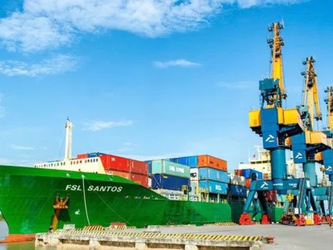 Xếp dỡ Hải An chốt quyền trả cổ tức năm 2024 bằng cổ phiếu và tiền mặt