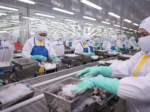 Lợi nhuận tăng trưởng, Tập đoàn PAN giảm đầu tư chứng chỉ tiền gửi