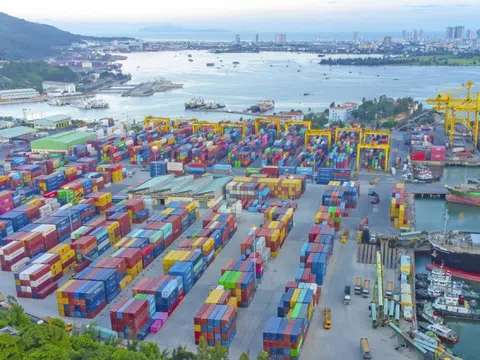 Lợi nhuận doanh nghiệp cảng biển: Kẻ thắng lớn, người ngậm ngùi